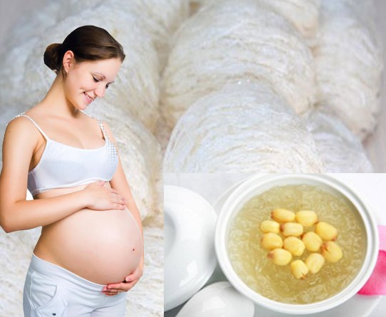 Từ tháng thứ 3 bà bầu đã có thể sử dụng yến để tẩm bổ